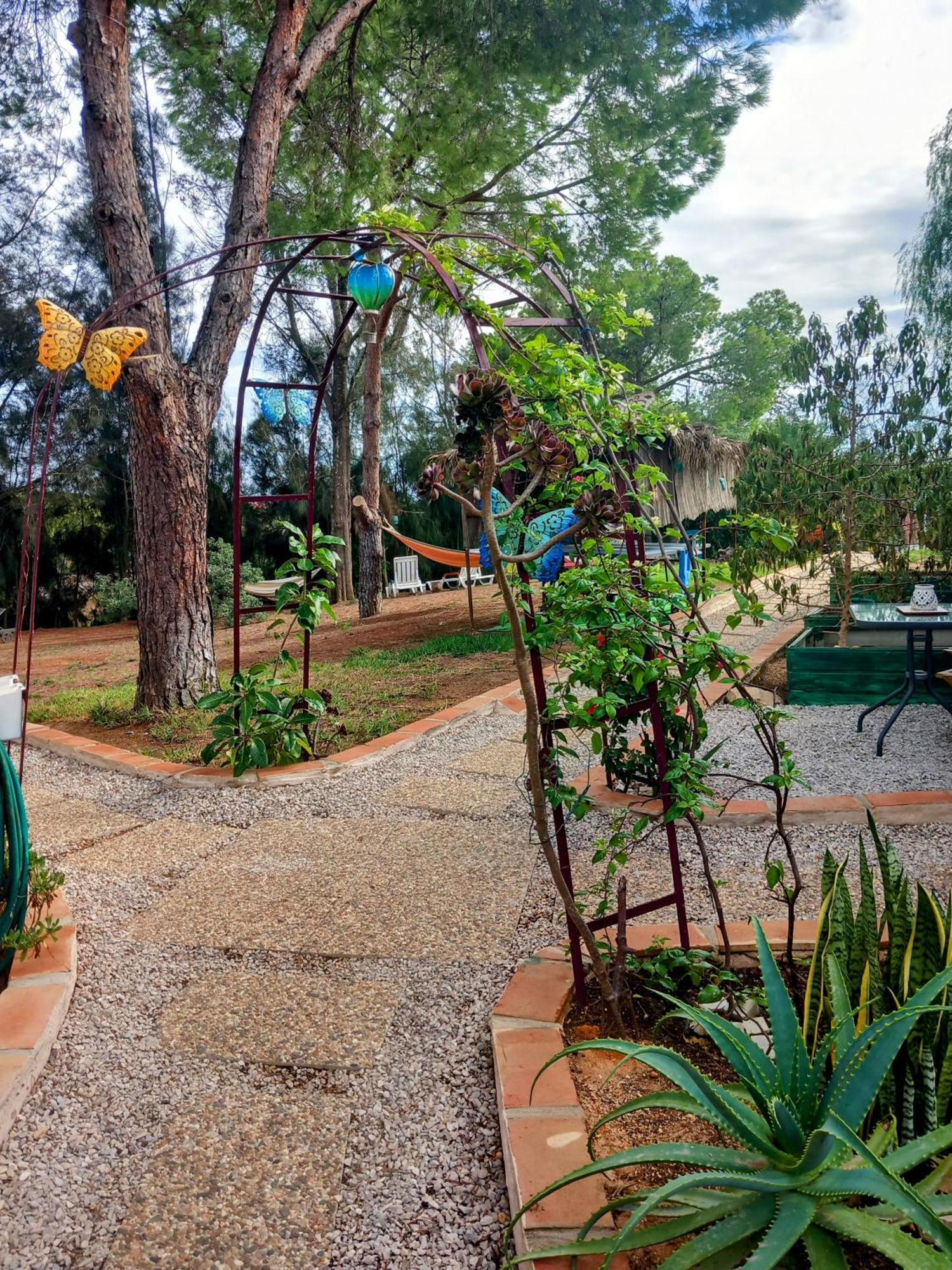 Ferienwohnung Morphee Valdareina, Piscine Chauffee, Benagil-Carvoeiro Carvoeiro  Exterior foto